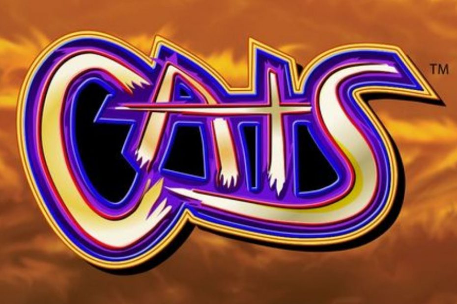 A Few Facts About Cats Slots